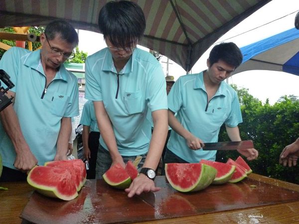 自在森林