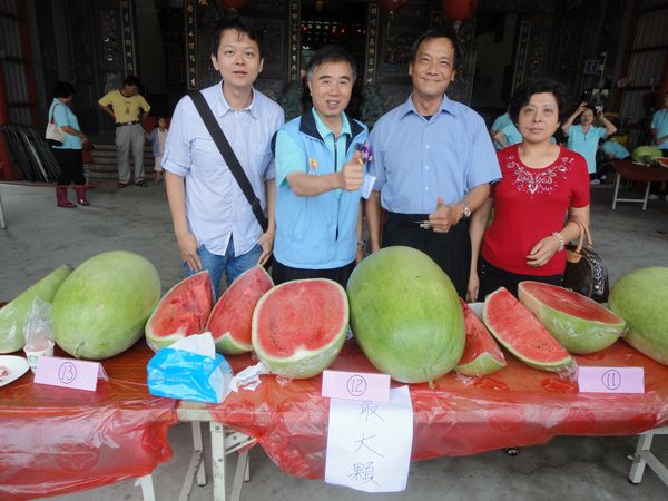 自在森林